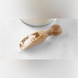Williams Sonoma Jean dubost Olive Wood salt spice Scoop